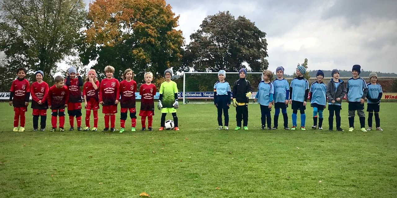 F2 Loiching Sieg Mengkofen Oktober 2017