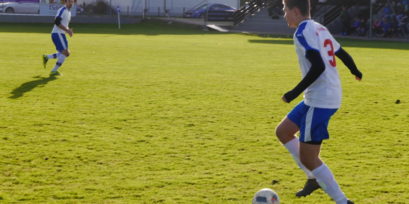 Laimer November 2017