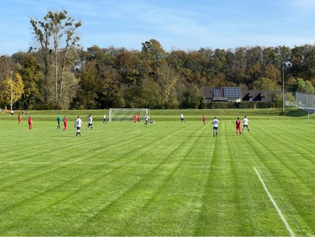 D015A6DF71AB4E939183F0D05AAC1766